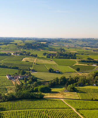 medoc-inspiration